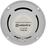 Ceiling Speaker rear