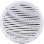 Bathroom Ceiling Speaker