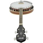 Chord Bj-4t 4-string Tenor Banjo Guitar