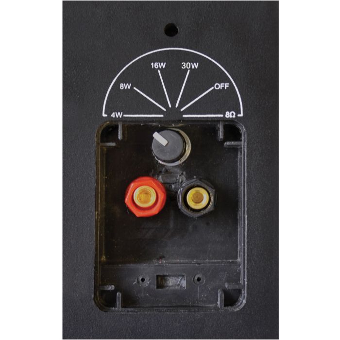 Eagle 100V Line & 8 Ohm Wall Speaker With Bracket 30W (Colour Black)