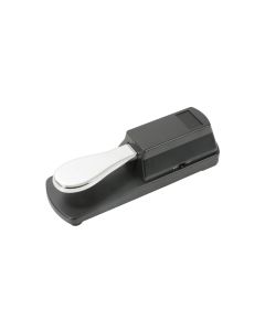 Chord Sp2 Sustain Pedal/piano Sw 
