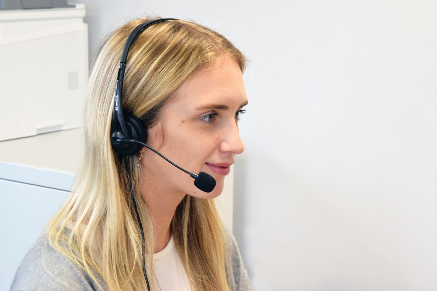 Avlink Multimedia Headset Headphones With Microphone