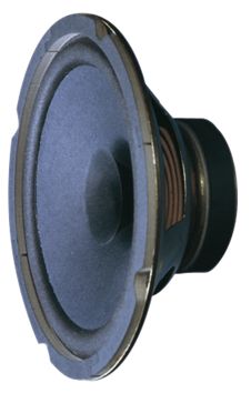 Soundlab 8inch Chassis Speaker | 15W 8 Ohm