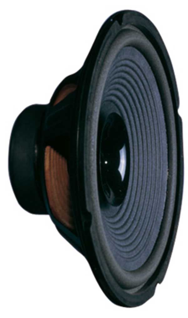 Soundlab 10" Chassis Speaker 40W (8 Ohm)