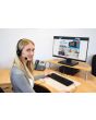 Avlink Usb Multimedia Headset With Boom Microphone
