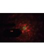 Qtx Tetra Led Moonflower + Wave + Strobe/uv + Laser Effect