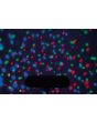 Qtx Par-t Bar Led DJ Light Party Bar with Stand Kit