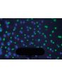 Qtx Par-t Bar Led DJ Light Party Bar with Stand Kit