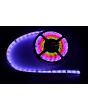 Lyyt Fiti240-rgb Intelligent Rgb Led Tape Installation Kit