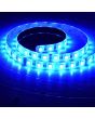 Lyyt Lt24560-rgbw 24v Led Tape 5m - Rgbw 60/m