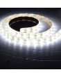 Lyyt Lt24560-rgbw 24v Led Tape 5m - Rgbw 60/m