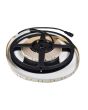 Lyyt 24v Ip20 Hi Output Led Tape Warm White