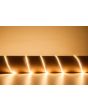 Lyyt 24v Ip20 Hi Output Led Tape Warm White