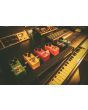 Nux Nds-2 Brownie Distortion Pedal
