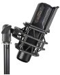 Studio Condenser Microphone Cm25 By Citronic