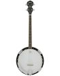 Chord Bj-4t 4-string Tenor Banjo Guitar
