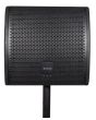 Citronic Cm10 Passive Wedge Monitor Foldback Speaker
