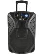 QTX Busker 10 Portable PA Speaker Wireless MICS USB SD FM Bluetooth