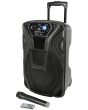 QTX Busker 10 Portable PA Speaker Wireless MICS USB SD FM Bluetooth