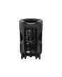 QTX Busker 10 Portable PA Speaker Wireless MICS USB SD FM Bluetooth