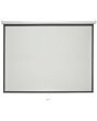 Avlink Mps100-4:3 100" 4:3 Manual Projector Screen