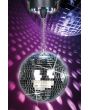 Cheetah 8 Inch Mirror Ball Kit, Built in LED lights