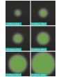 FXLAB 8W GREEN LED Pinspot with Black Body