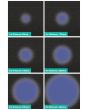 FXLAB 8W Blue LED Pinspot with Black Body