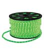 Green Eagle Static Led Rope Light 90m