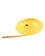 Yellow Eagle Static Led Rope Light 6m