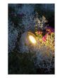 Luxform Lighting 12V Tatra Rocklight in Gravel - Kit