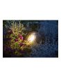 Luxform Lighting 12V Tatra Rocklight in Gravel - Kit