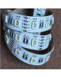NJD SMD5050 IP65 rated RGB+W 5M 12V Led Tape Light