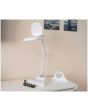 Eagle Desktop LED Articulated Illuminated Magnifier With 6" Lens