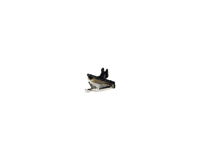 Zoomed image