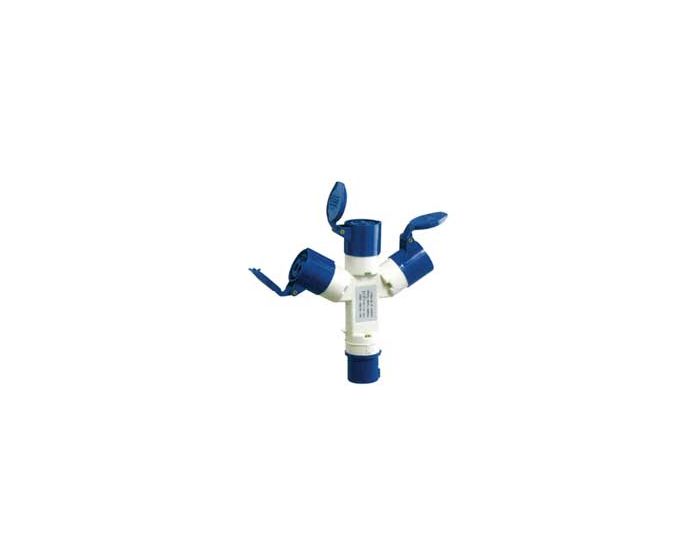 Zoomed image